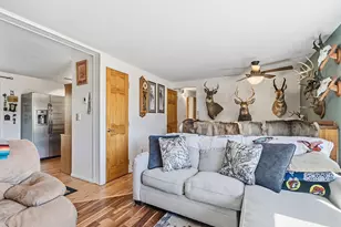 399 Conifer Dr, Bailey, CO 80421 - Photo 9