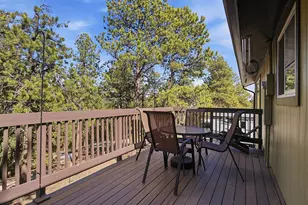 399 Conifer Dr, Bailey, CO 80421 - Photo 33