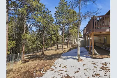 399 Conifer Drive, Bailey, CO 80421 - Photo 33