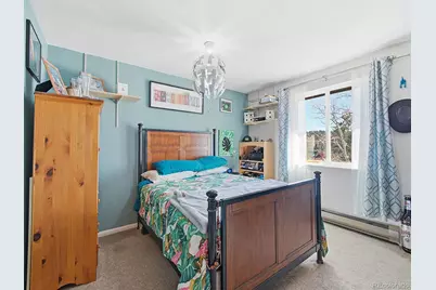 399 Conifer Drive, Bailey, CO 80421 - Photo 17