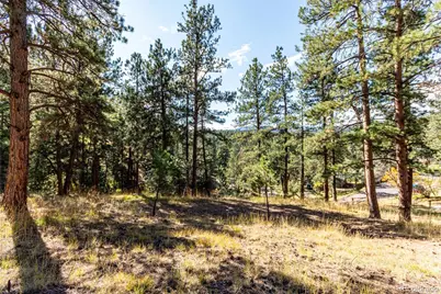 27406 Mountain Park Road, Evergreen, CO 80439 - Photo 5