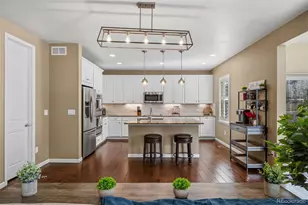899 McMurdo Cir, Castle Rock, CO 80108 - Photo 5