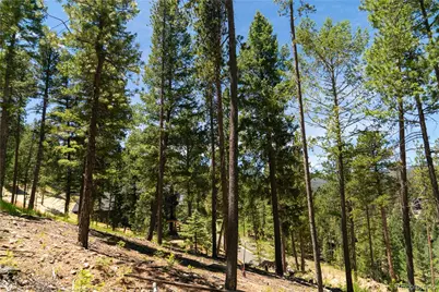 6814 Lynx Lair Road, Evergreen, CO 80439 - Photo 17