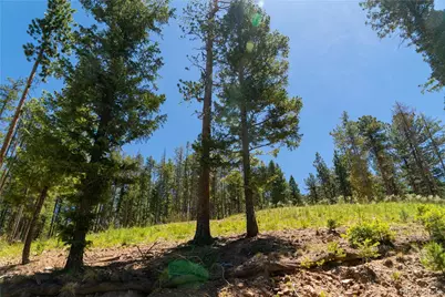 6814 Lynx Lair Road, Evergreen, CO 80439 - Photo 3