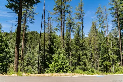 6814 Lynx Lair Road, Evergreen, CO 80439 - Photo 7