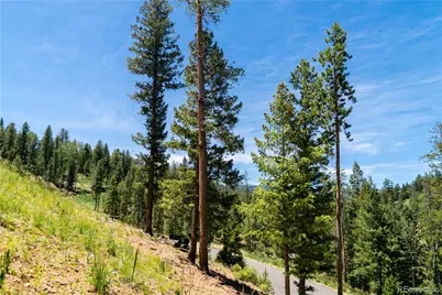 6814 Lynx Lair Road, Evergreen, CO 80439 - Photo 13
