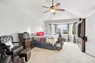 140 Sugar Plum Way, Castle Rock, CO 80104 - Photo 29