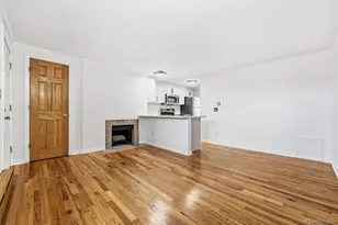 336 N Grant St, Denver, CO 80203 - Photo 5