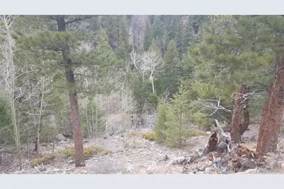 0 Ohio Gulch Trail, Dumont, CO 80436 - Photo 7