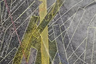 0 Ohio Gulch Trail, Dumont, CO 80436 - Photo 1