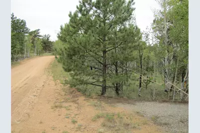 657 Pine Lane, Hartsel, CO 80449 - Photo 3