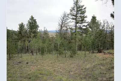 657 Pine Lane, Hartsel, CO 80449 - Photo 5