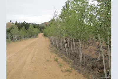 657 Pine Lane, Hartsel, CO 80449 - Photo 39