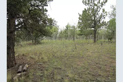 657 Pine Lane, Hartsel, CO 80449 - Photo 23