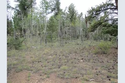657 Pine Lane, Hartsel, CO 80449 - Photo 27