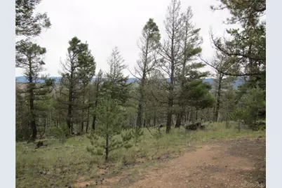 657 Pine Lane, Hartsel, CO 80449 - Photo 9