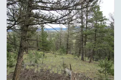 657 Pine Lane, Hartsel, CO 80449 - Photo 17