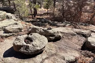 7750 E Greenland Rd, Franktown, CO 80116 - Photo 43