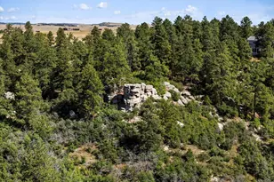 7750 E Greenland Rd, Franktown, CO 80116 - Photo 1