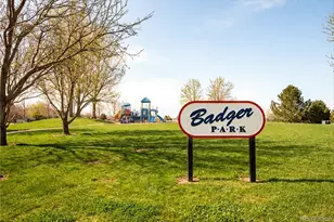 15612 E 96th Way, Commerce City, CO 80022 - Photo 35