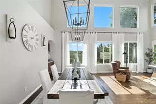 10601 Chadsworth Ln, Highlands Ranch, CO 80126 - Photo 9