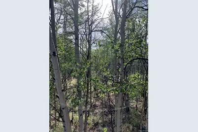540 Vulture Lane, Como, CO 80432 - Photo 5