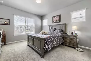 6712 Sea Oats Dr, Parker, CO 80138 - Photo 13