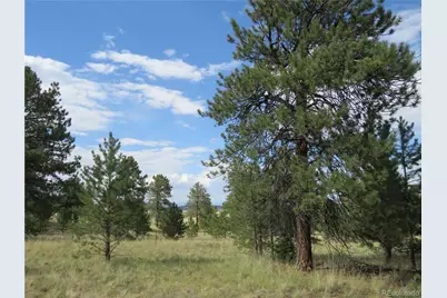 9389 Ranch Road, Hartsel, CO 80449 - Photo 29