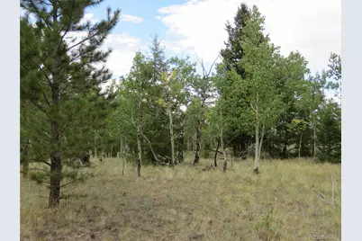 9389 Ranch Road, Hartsel, CO 80449 - Photo 33