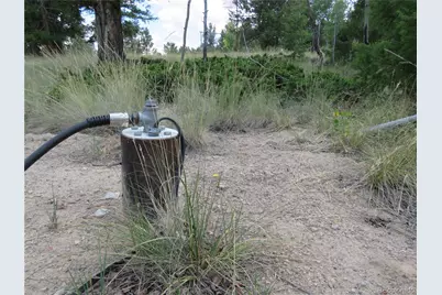 9389 Ranch Road, Hartsel, CO 80449 - Photo 3