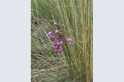 9389 Ranch Road, Hartsel, CO 80449 - Photo 37