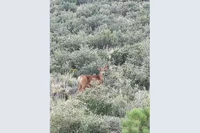 9389 Ranch Road, Hartsel, CO 80449 - Photo 9