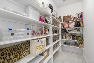 3069 Carabiner Street, Castle Rock, CO 80108 - Photo 25