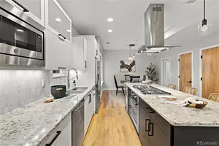 3336 Tejon St, Denver, CO 80211 - Photo 13