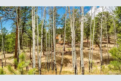 11744 S Stallion Drive, Pine, CO 80470 - Photo 39