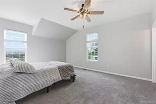 14631 Co Rd 10, Fort Lupton, CO 80621 - Photo 35