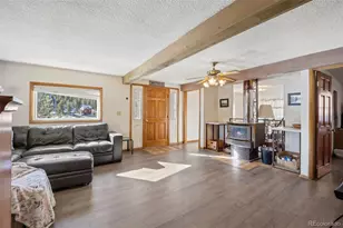 415 Bishop Rd, Bailey, CO 80421 - Photo 5