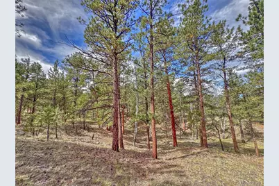 111 Sioux Trail, Westcliffe, CO 81252 - Photo 27