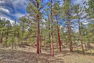 111 Sioux Trail, Westcliffe, CO 81252 - Photo 27