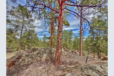 111 Sioux Trail, Westcliffe, CO 81252 - Photo 25