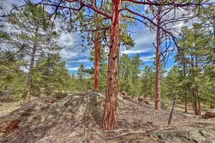 111 Sioux Trail, Westcliffe, CO 81252 - Photo 25