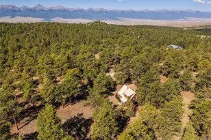 111 Sioux Trail, Westcliffe, CO 81252 - Photo 3