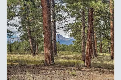 111 Sioux Trail, Westcliffe, CO 81252 - Photo 23