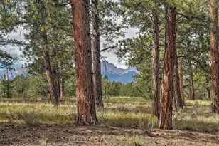 111 Sioux Trail, Westcliffe, CO 81252 - Photo 23