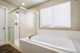 3625 Golden Spur Loop, Castle Rock, CO 80108 - Photo 17