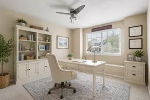 3625 Golden Spur Loop, Castle Rock, CO 80108 - Photo 23