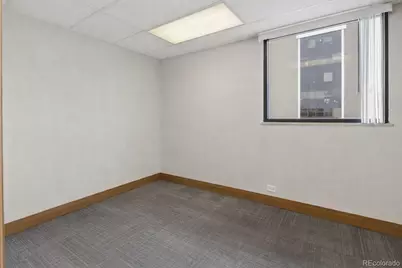 1634 N Downing Street, Denver, CO 80218 - Photo 9