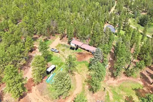 325 Rd D, Pine, CO 80470 - Photo 29