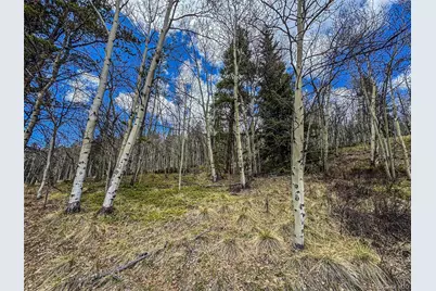 Buckeye Gulch Road, Leadville, CO 80461 - Photo 9