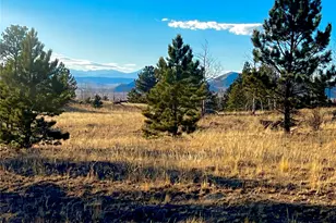 215 Topaz Rd, Lake George, CO 80827 - Photo 1